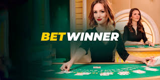 Découvrez les opportunités avec betwinner partners